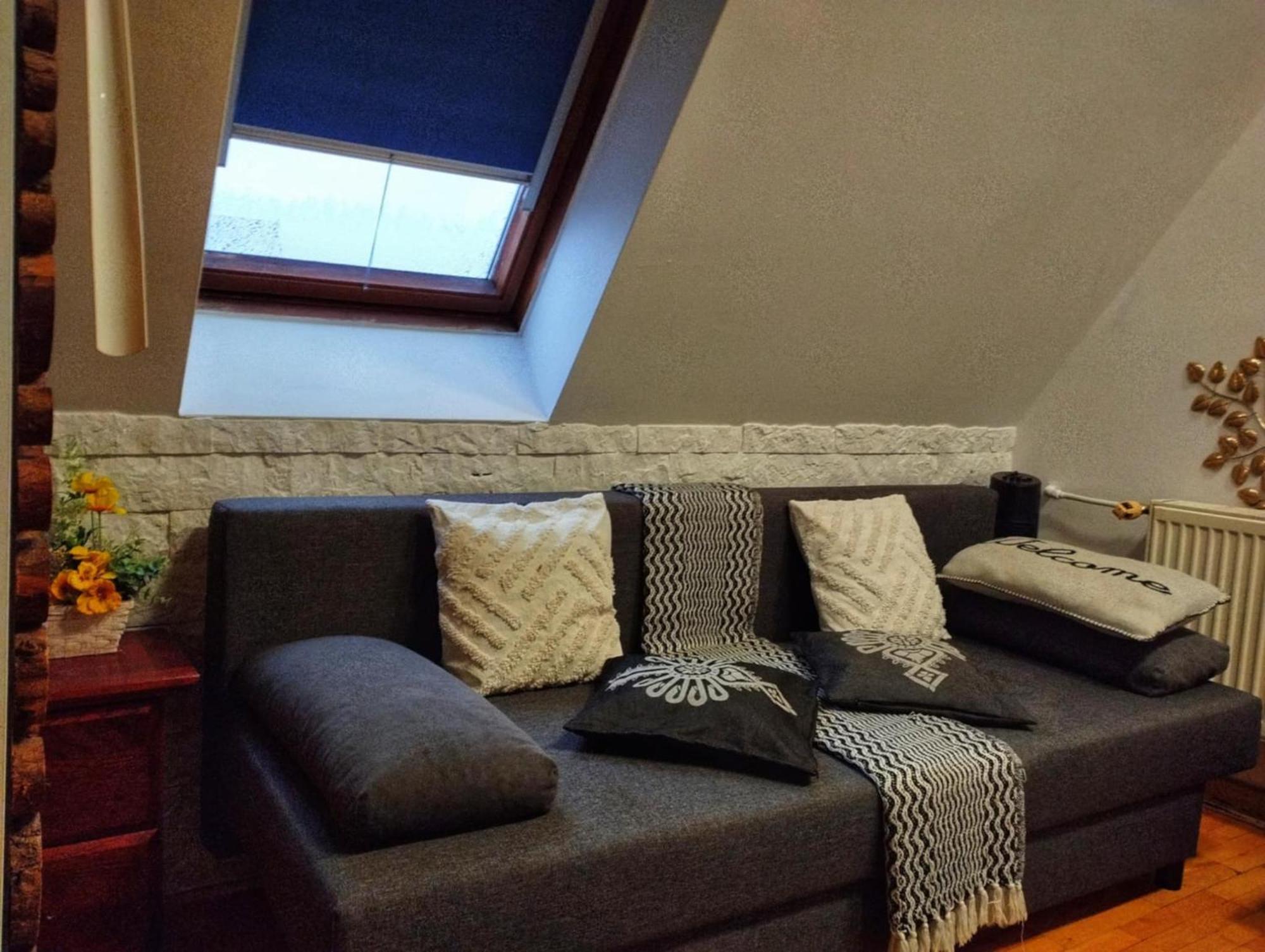 Willa Czajka - Widokowe Apartamenty Zakopane Bagian luar foto